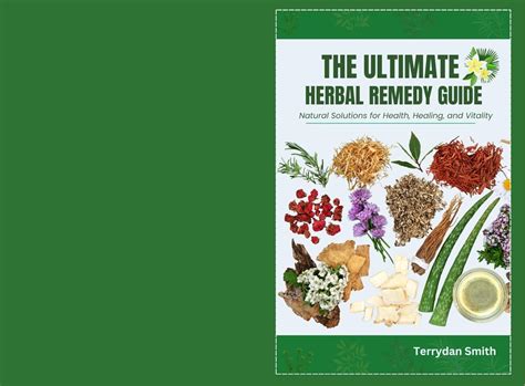 Best Herb For Digestion: Your Complete Natural Remedy Guide