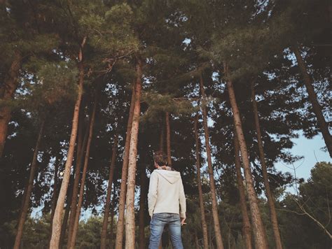 Image result for Nature