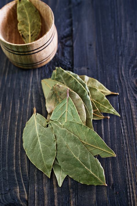 The Best Place to Store Bay Leaves Is Not in Your Spice Drawer | Bay ...