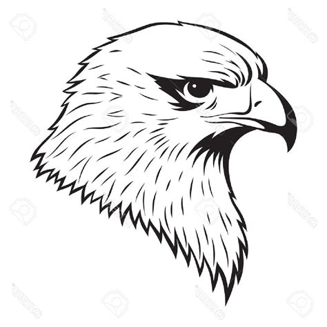 Easy Hawk Drawing at GetDrawings | Free download