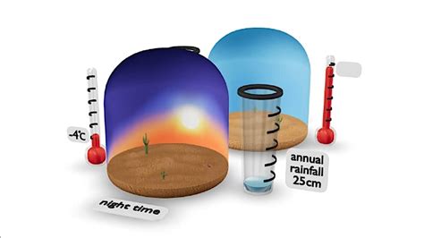 3D Model: Physical Geography - Weather in an Arid Climate