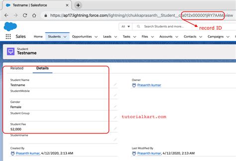 Image result for Salesforce Lightning Tutorial