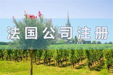 代办理法国商标申请，法国注册商标流程及相关材料，注册法国商标要走哪些流程，外国商标怎么注册合适？ - 知乎