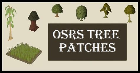OSRS Tree Patches Guide - Route Order