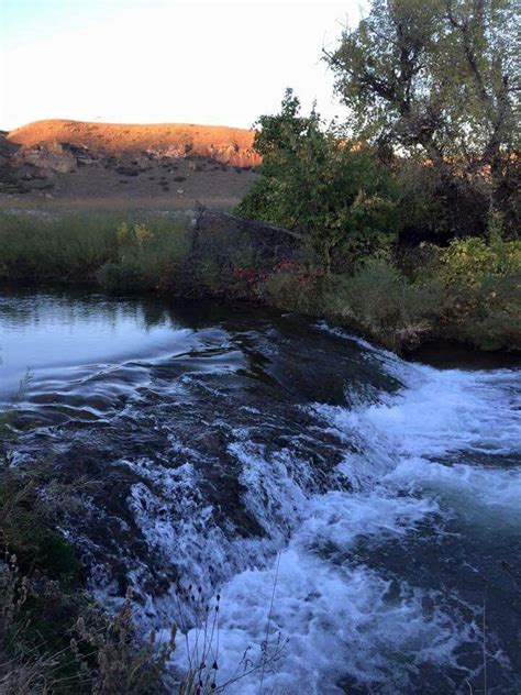 Sand Creek Campground Utah: Reservations, Amenities, & Reviews