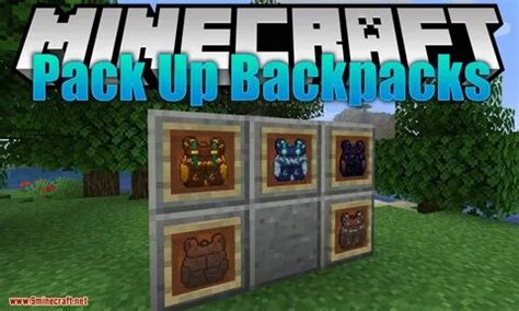 Backpack Mod 1.16.5 的图像结果