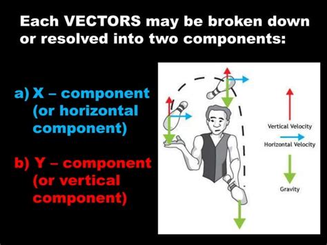 Vector Components 的图像结果