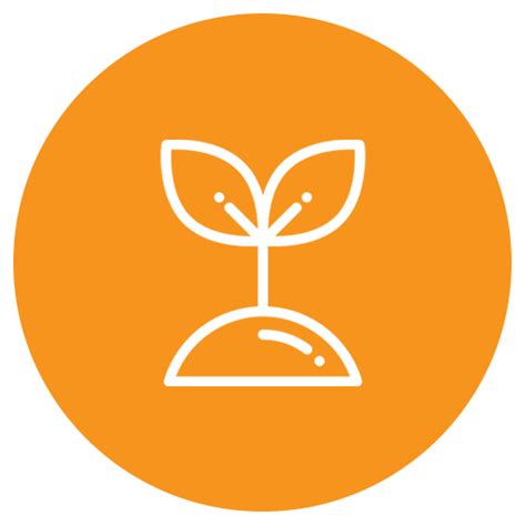 Agriplast Mulch – Mulch Films for Enhanced Crop Yield