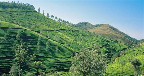 10 Most Beautiful Places to Visit and Things to Do in Idukki