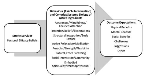 Stroke Survivors’ Personal Efficacy Beliefs and Outcome Expectations of ...