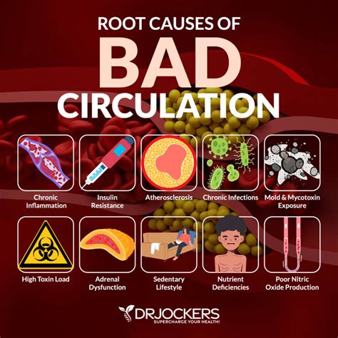 Bad Circulation: Symptoms, Root Causes and Support Strategies