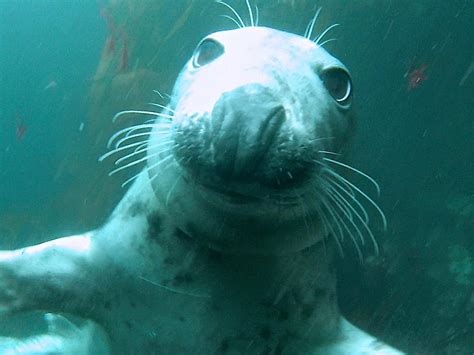 Dingle Marina Dive Centre - All You Need to Know BEFORE You Go