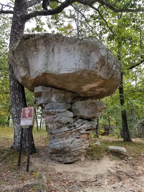 Horse Pens 40, Alabama