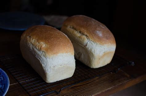 Easy Sourdough Starter and Bread Recipe - Amy K Fewell | The Fewell ...
