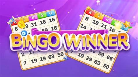 spin winner and bingo,One of the most significant aspects i