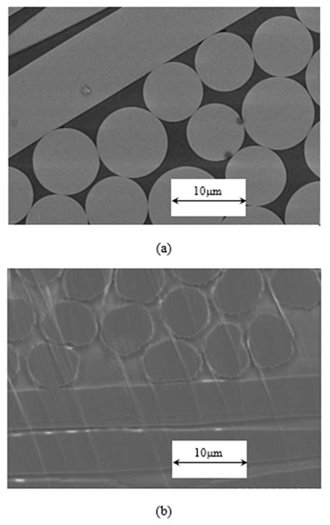 A Facile Molding Method of Continuous Fiber-Reinforced Thermoplastic ...