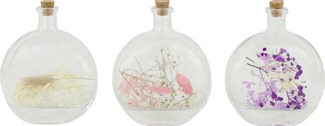 Dijk Flasche Trockenblumen 13 x 4 x 15,5 cm kaufen | Globus Baumarkt