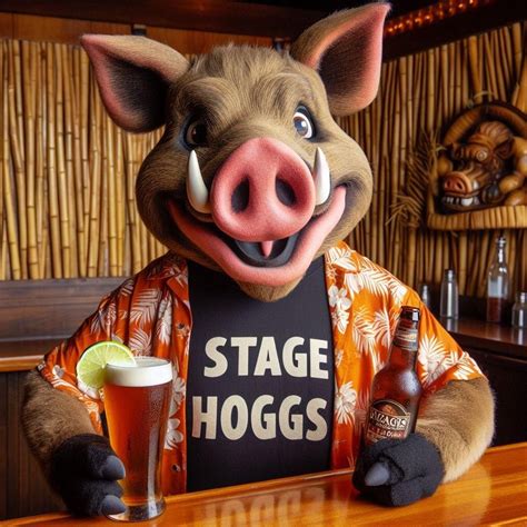 Acoustic fun on the Patio Friday at 3:30. Only at the Dive in Cape ...