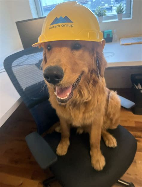 Forever grateful everyone loved Happy just as much as I did.♥️ | Rachel Barry