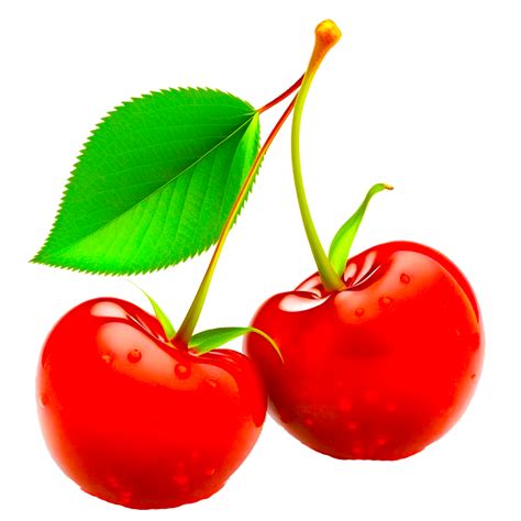 Cherry fruit illustration 22984280 PNG