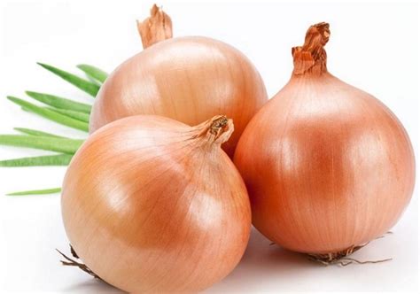 manfaat bawang bombai mentah