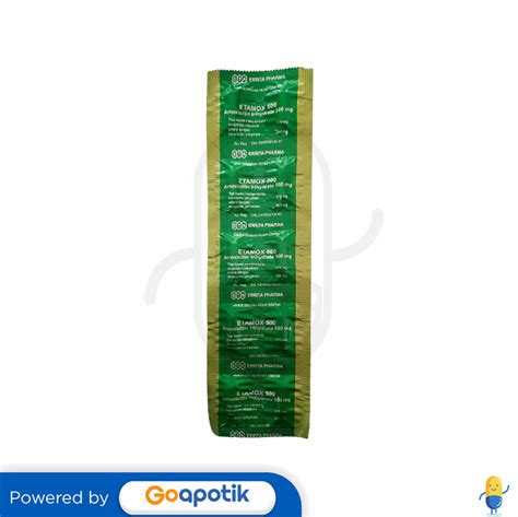 manfaat etamox amoxicillin 500 mg