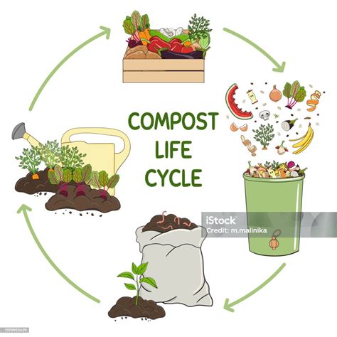 Composting Infographic 的图像结果