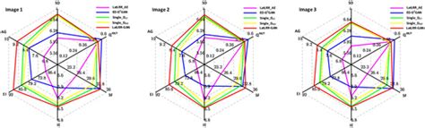 Hybrid Multimodal Medical Image Fusion Method Based on LatLRR and ED-D2GAN