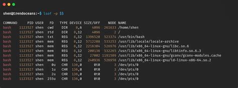 Image result for Open List File