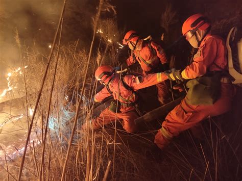 【追梦火焰蓝】森林消防员：在逆行中实现自己的价值_央广网