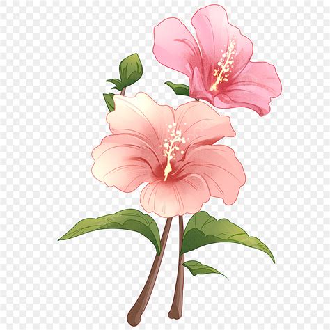 South Korea National Flower Korean National Flower Photos, Images And