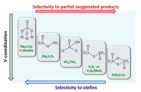 Heterogeneous Catalysis on Metal Oxides