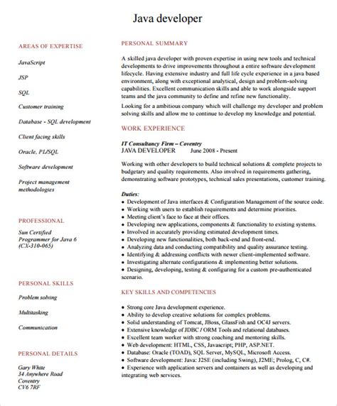 Programmer Resume 的图像结果