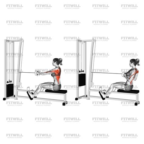 Seated Straight Bar Cable Row 10 Seated Cable Row Alternatives
