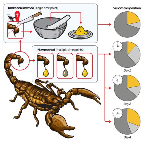 New Non-Lethal Method To Study Scorpion Venom | Technology Networks