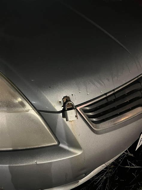 Sunny Ray Leak: What They're Hiding From You - Truth or Fiction