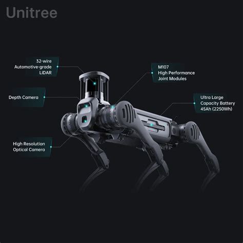 UniTree B2 Robot 的图像结果