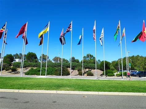 Example Symbol of Society 的图像结果