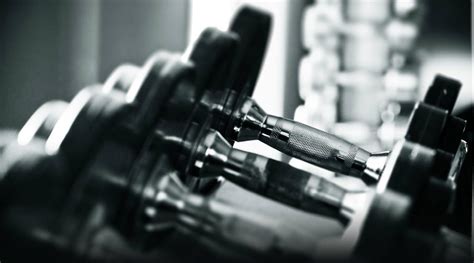 Exercise Wallpaper 的图像结果