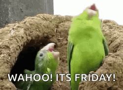 Funny Friday GIFs | GIFDB.com