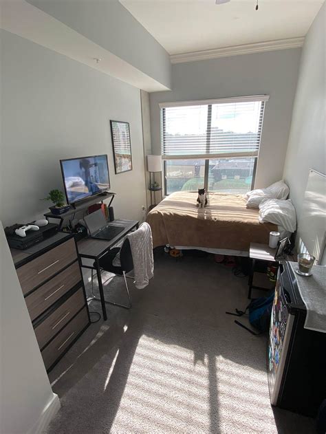 20 Cool Dorm Room Ideas for Guys | Essay Tigers