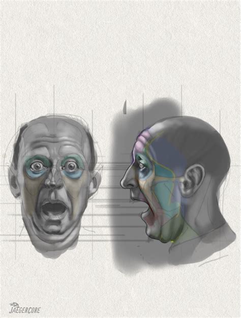 Image result for Graphical Representation of Classical Rectangular Shok