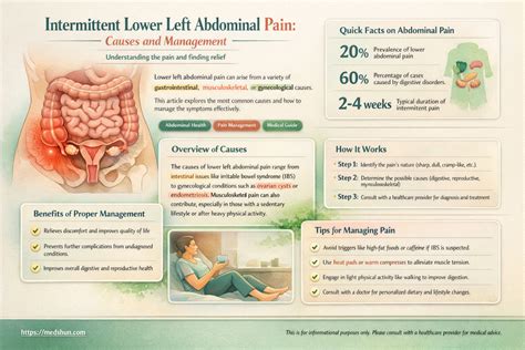 Intermittent Lower Left Abdominal Pain: Causes And Management | MedShun