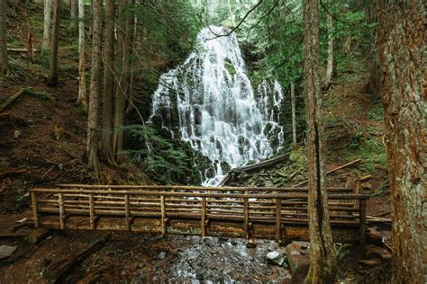 Discover The Dramatic Ramona Falls Hike in Mount Hood, Oregon - The ...