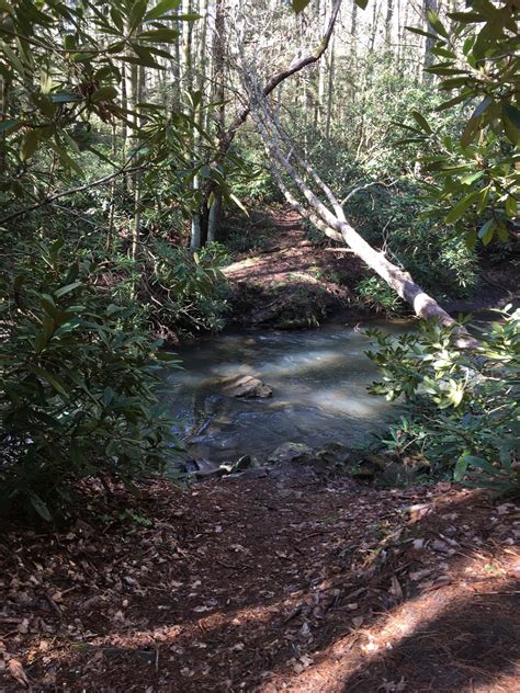 Little Beaver State Park - Beaver Creek Mountain Bike Trail in Beaver ...