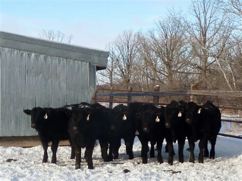 Functionally Classified Barn 的图像结果