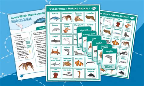 Twinkl Board Games - Twinkl+ - Twinkl