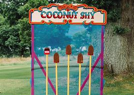 Image result for coconut shy