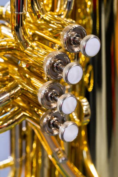 Image result for Trumpet Valve Problems