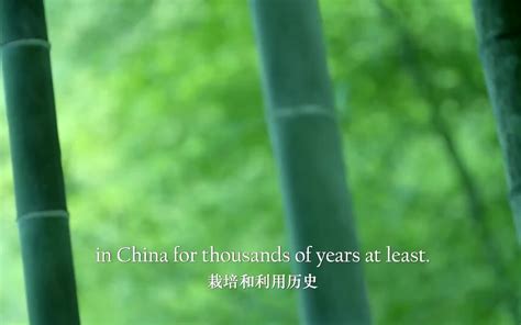 央视纪录片《美丽中国》53集完整版 绝佳英语听力素材 - 哔哩哔哩